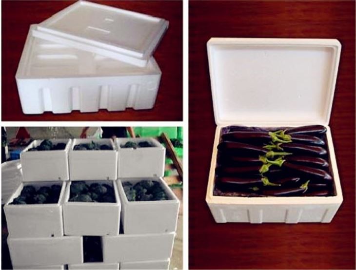 EPS Fruit Box Machine